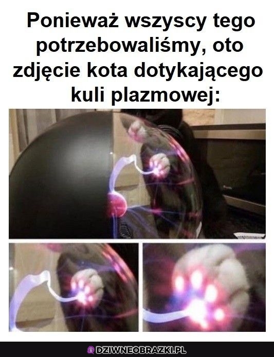 Ładowanie koteczka