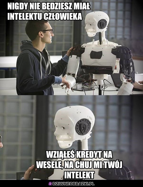 No właśnie debilu