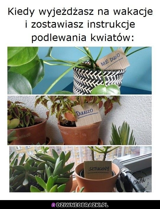 Instrukcja