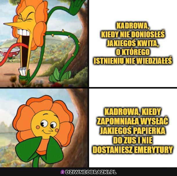 Typowa Kadrowa