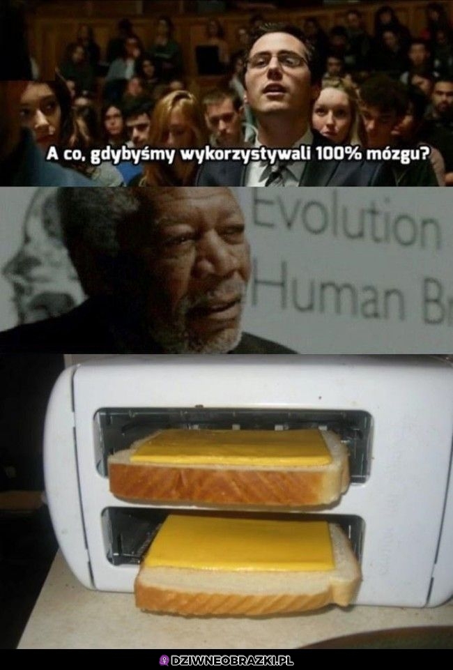 100% mózgu