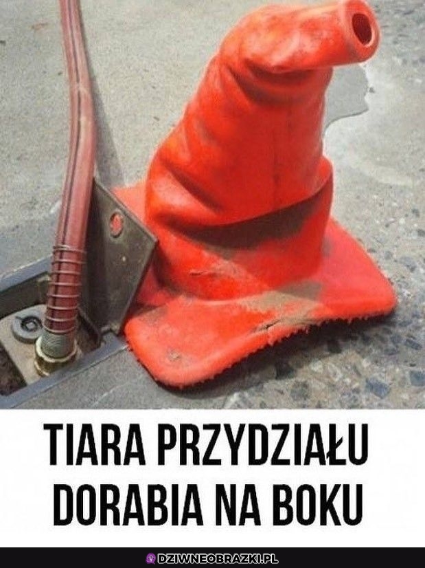 Tiara dorabia