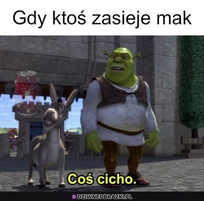 Ten moment Ten moment