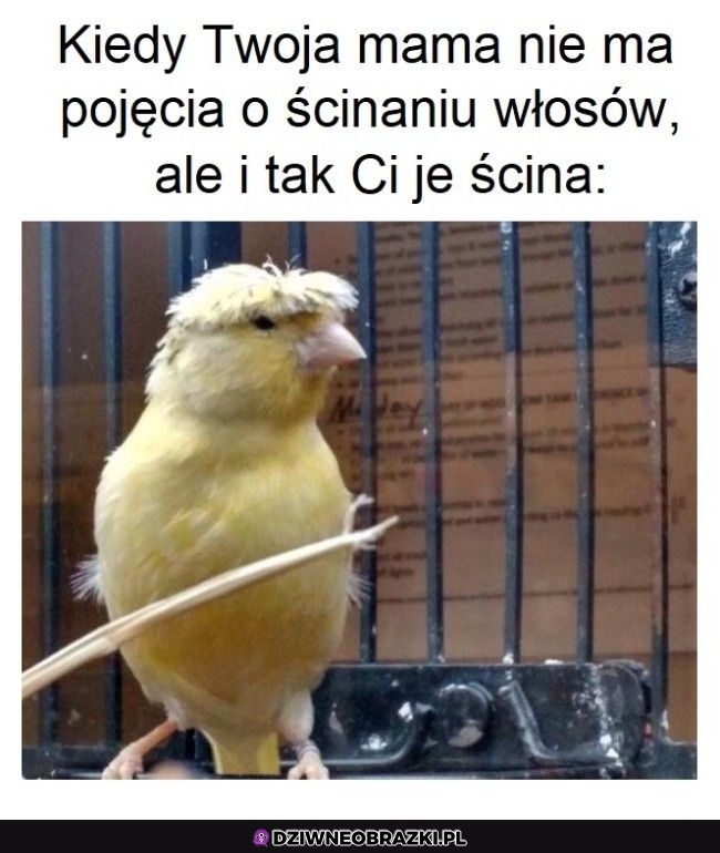 Ten moment