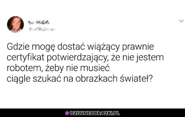 Przydałby się