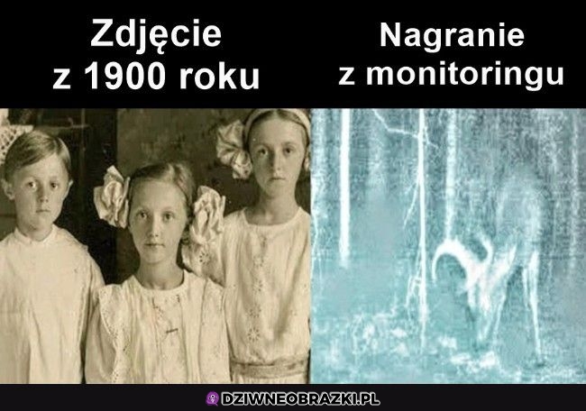 Coś nam nie poszło