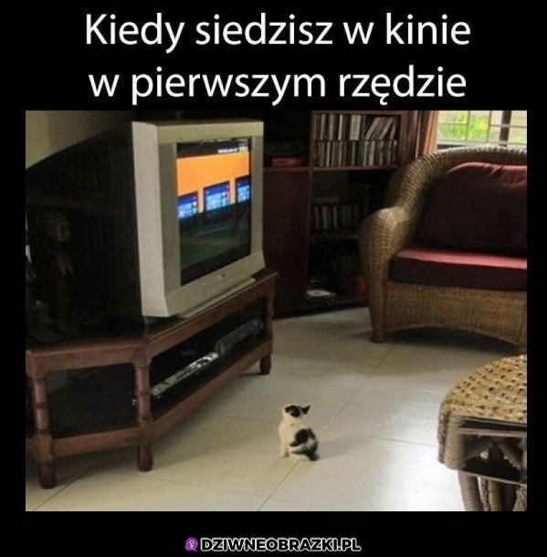 Pierwszy rząd w kinie