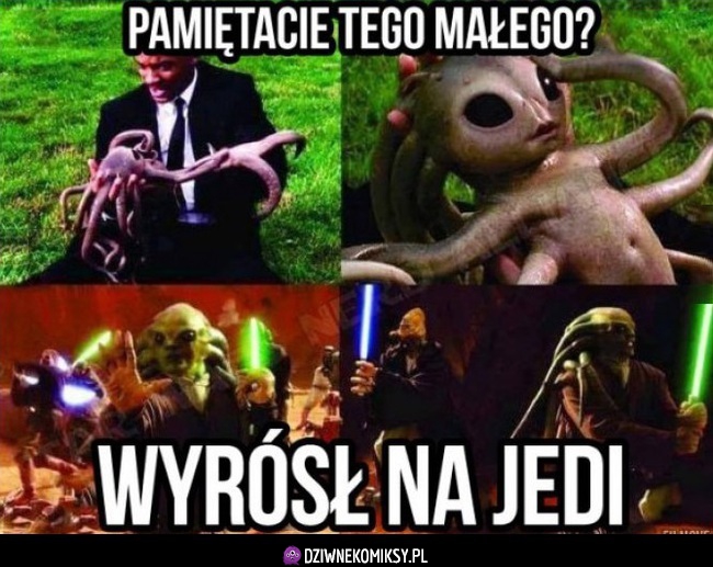 Wyrobił się