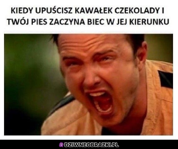 Ten moment