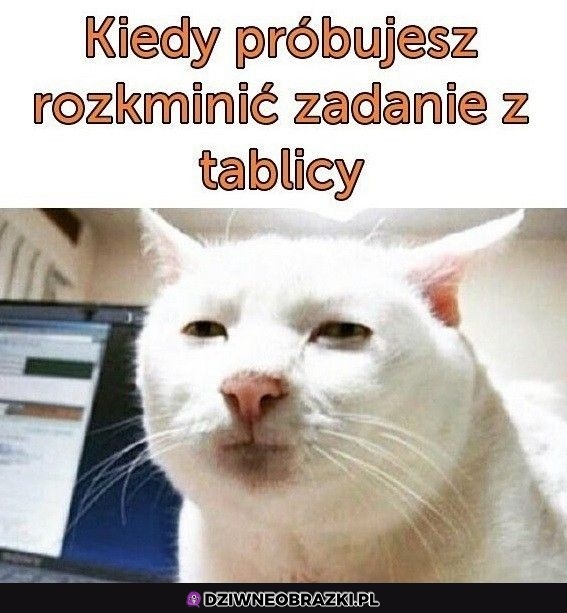 Rozkmina zadania
