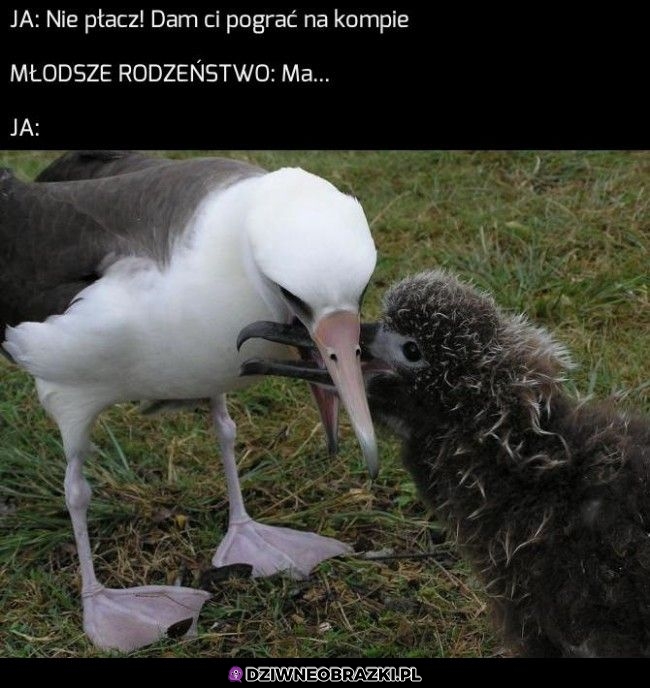 Nie kłap dziobem!