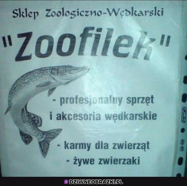 Dobra nazwa