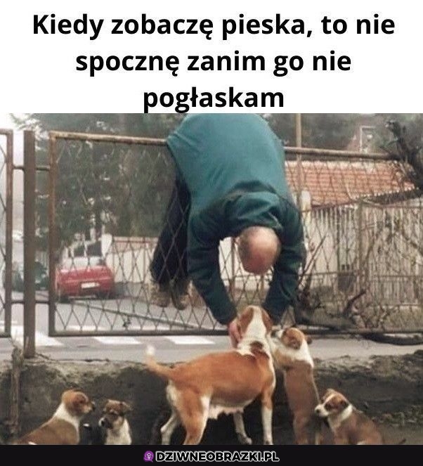 To właśnie ja