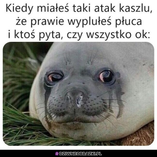 Ten moment