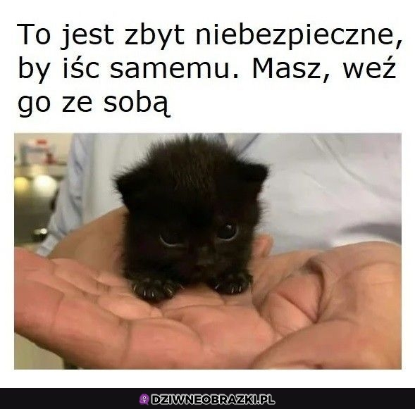 Weź go