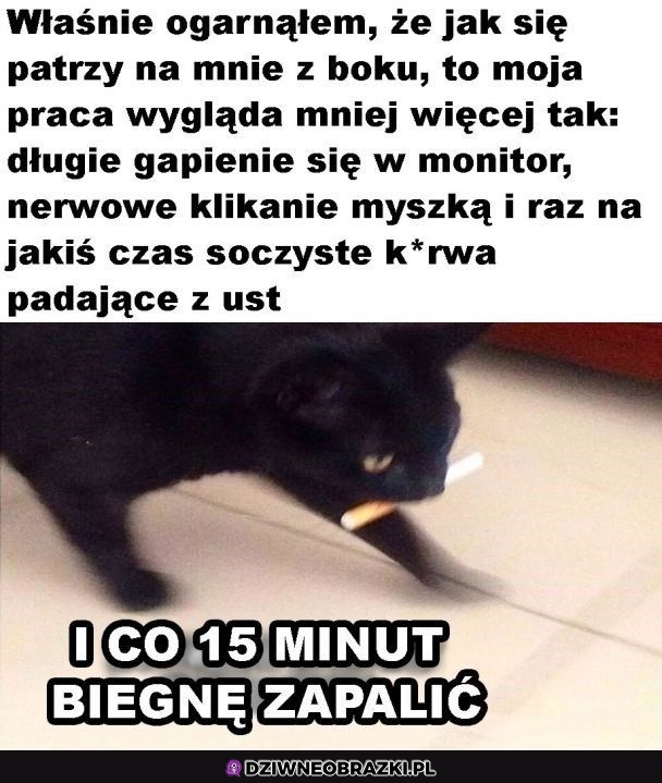 Taki wygląd mojej pracy