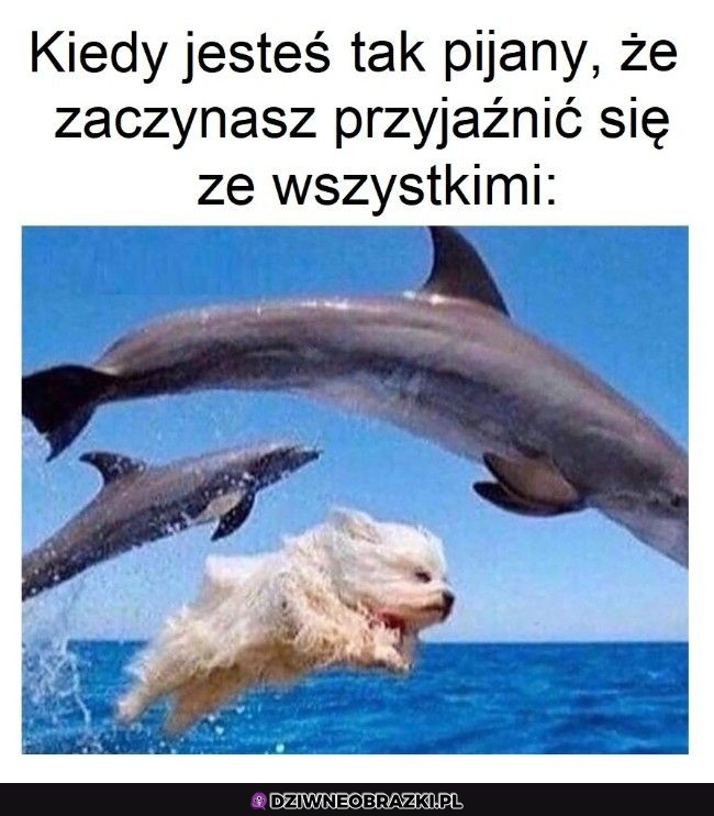 Ten moment na imprezie