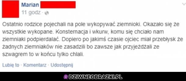 Zimnioki
