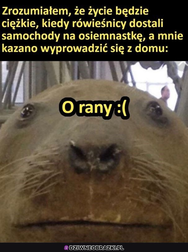 Ciężkie życie