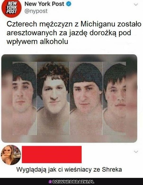 Bez kitu podobni