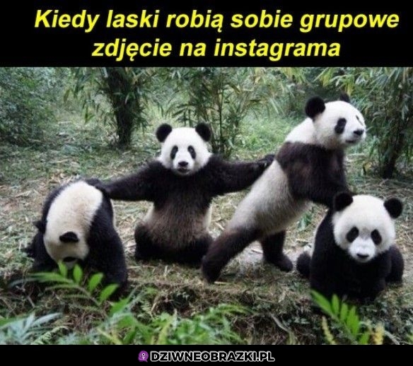 Grupowe foto na insta