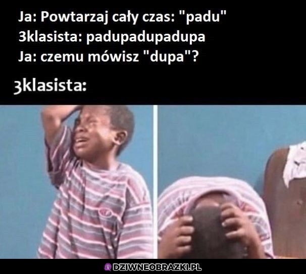 Padu