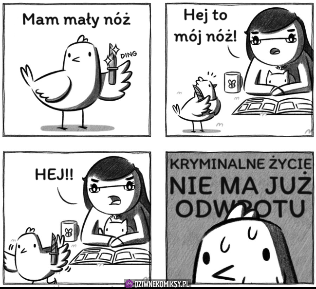 Nie ma odwrotu