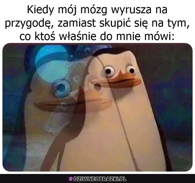 Mózgu, proszę zostać