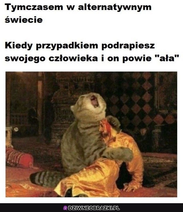 W alternatywnym świecie