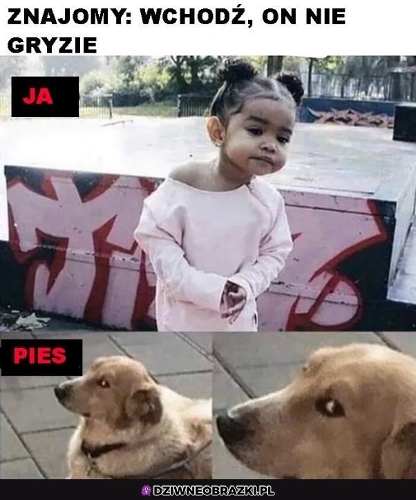 Na pewno?