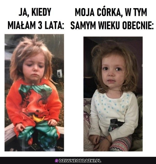Podobne