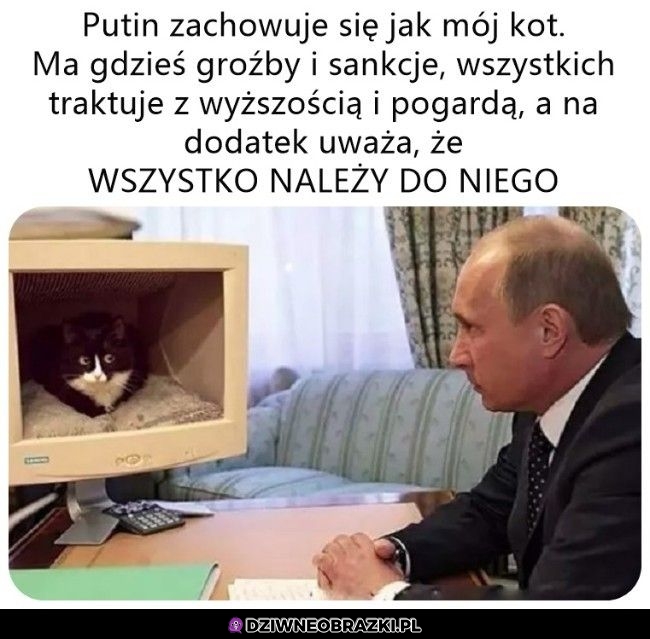 Putin jak kot