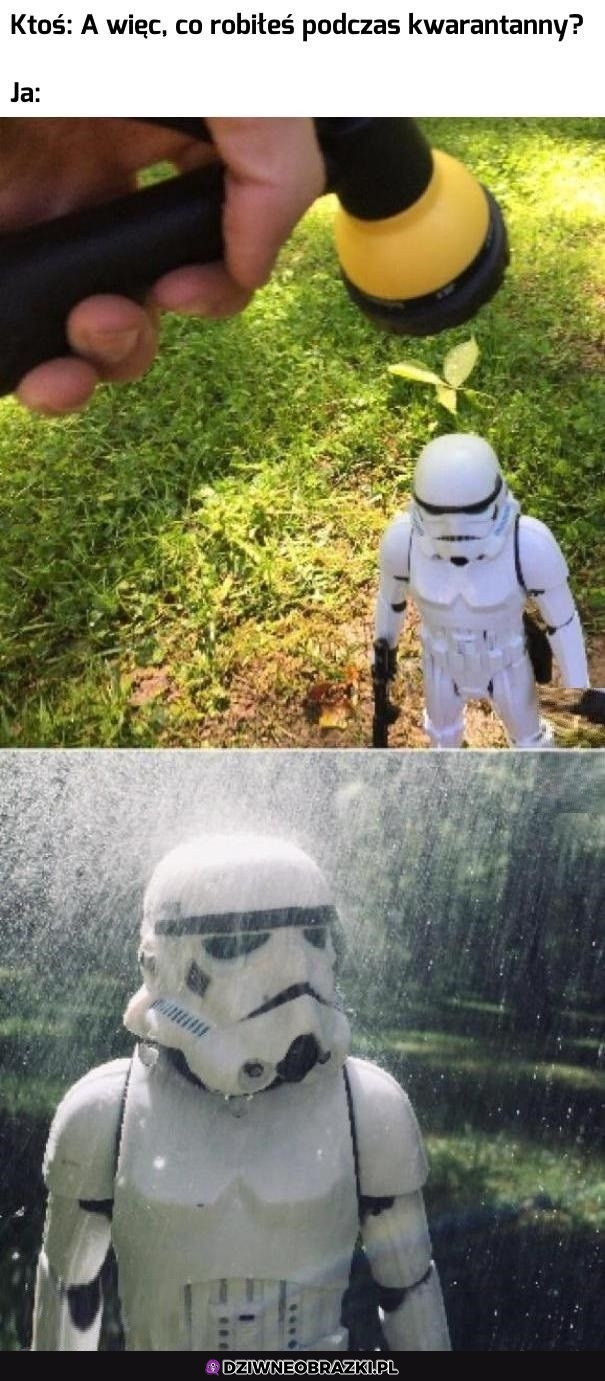 Całkiem spoko