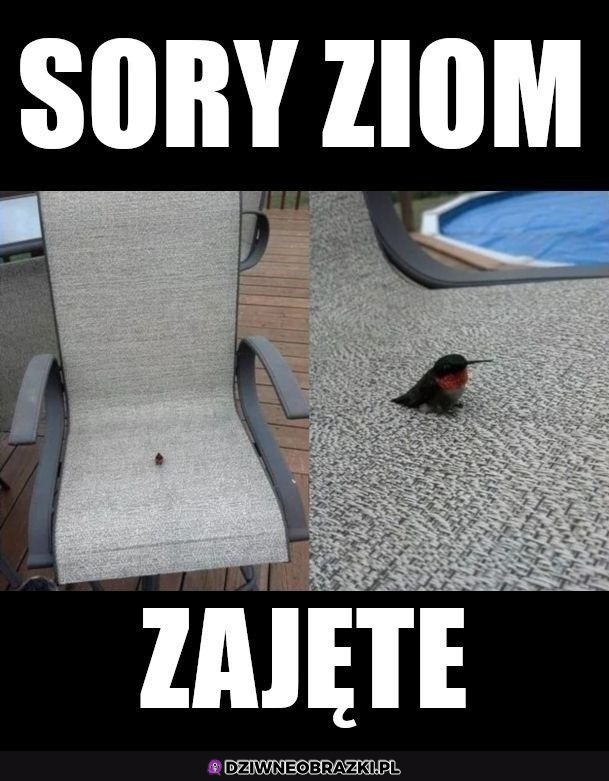 Nie ma siadania