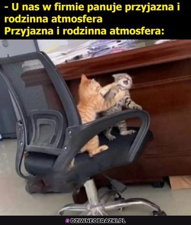 U Nas w firmie...