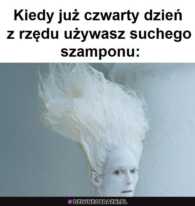 Ten moment