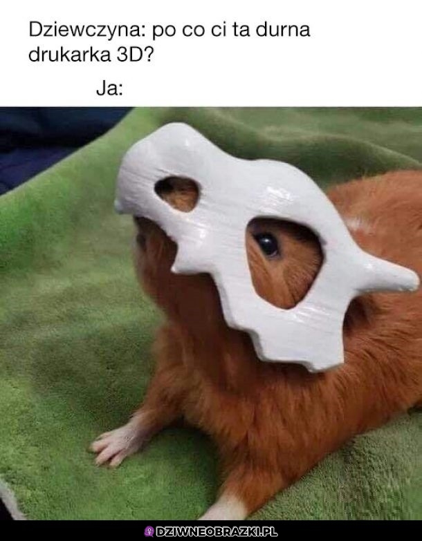 Właśnie po to! Właśnie po to!