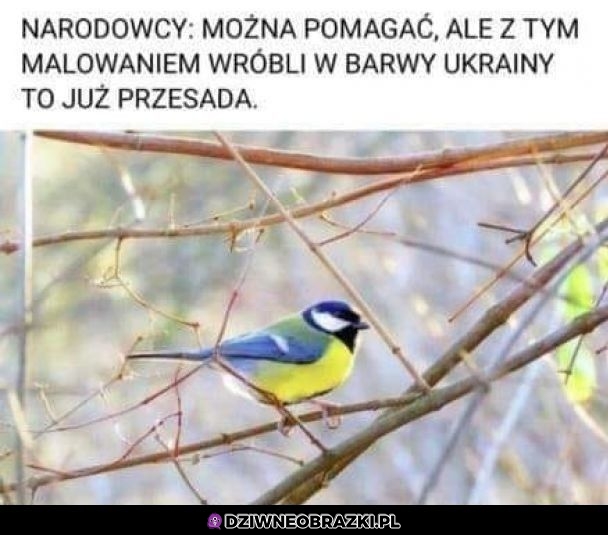 No to już przesada