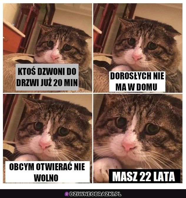 Ten moment