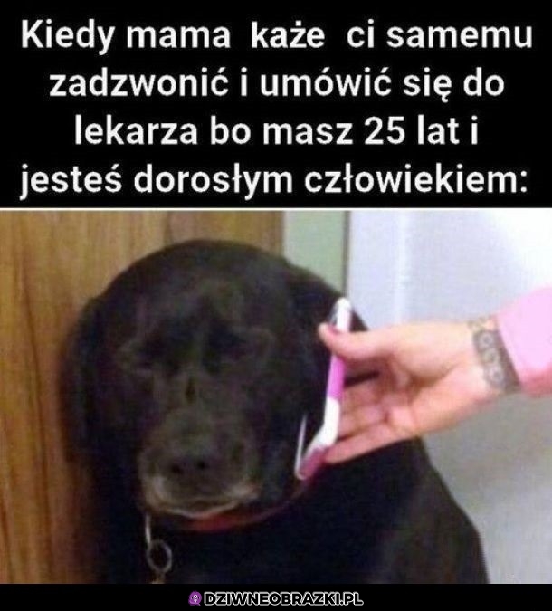 Ten moment