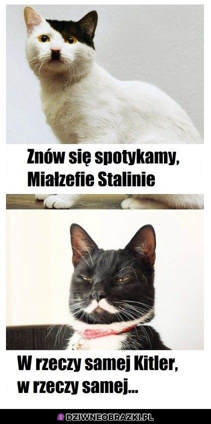 Znowu się spotykamy