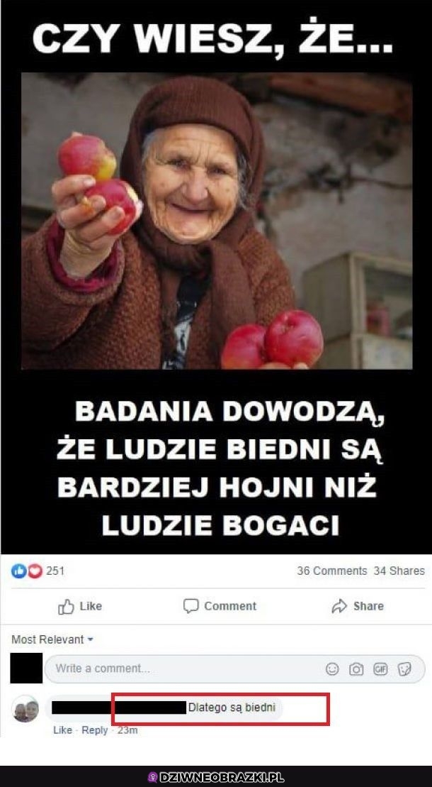 Wyniki badań