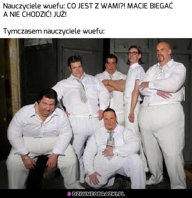 WFiści
