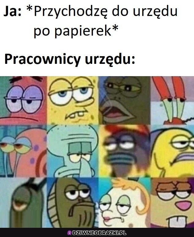 Kiedy przychodzę do urzędu