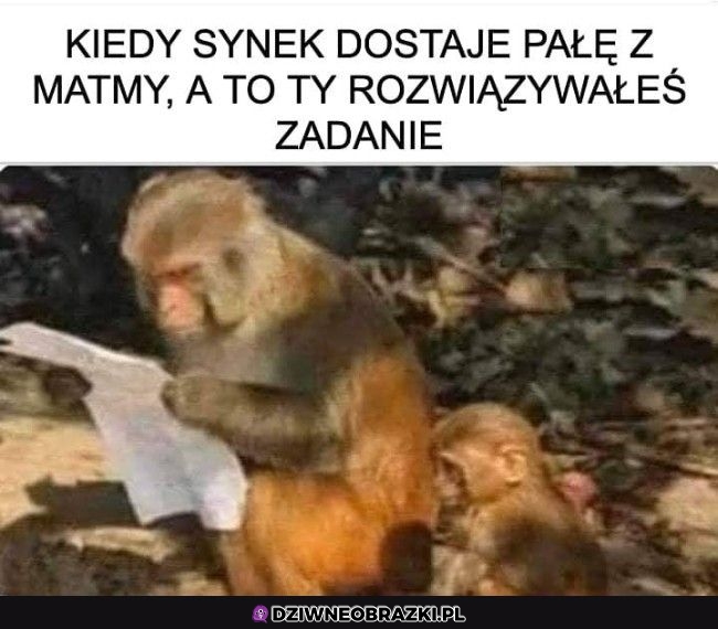 Pokaż no to synek