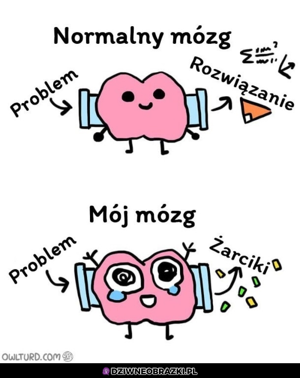 Niestety