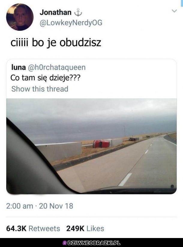 Śpią sobie