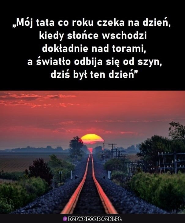 Idealne foto