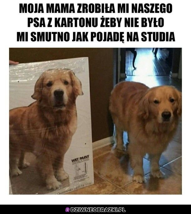 Dzięki mamo Dzięki mamo