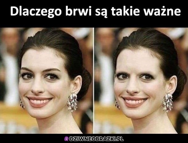 Brwi są ważne